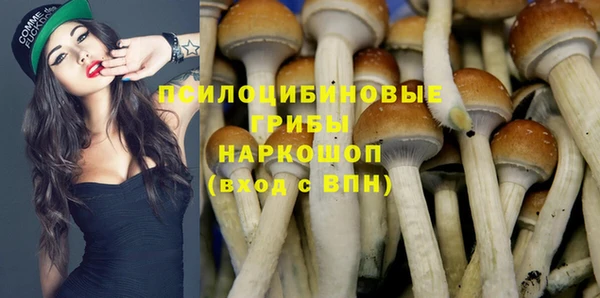 марки nbome Ладушкин