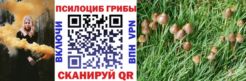 Галлюциногенные грибы Cubensis  Купить закладки  Ртищево 
